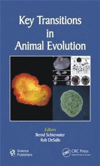 bokomslag Key Transitions in Animal Evolution