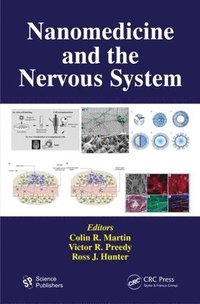 bokomslag Nanomedicine and the Nervous System
