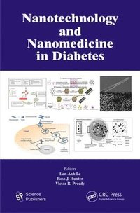 bokomslag Nanotechnology and Nanomedicine in Diabetes