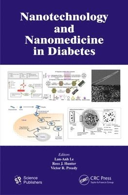 Nanotechnology and Nanomedicine in Diabetes 1