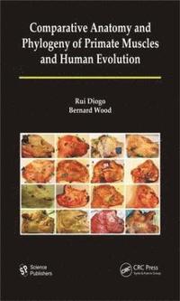 bokomslag Comparative Anatomy and Phylogeny of Primate Muscles and Human Evolution