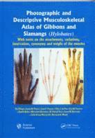 bokomslag Photographic and Descriptive Musculoskeletal Atlas of Gibbons and Siamangs (Hylobates)