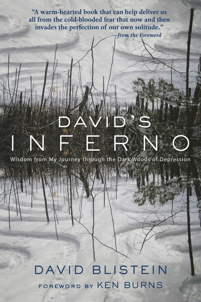 David Blistein, Ken Burns - David's Inferno, Häftad