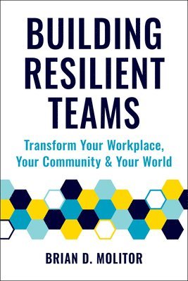 bokomslag Building Resilient Teams