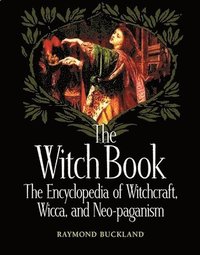 bokomslag The Witch Book