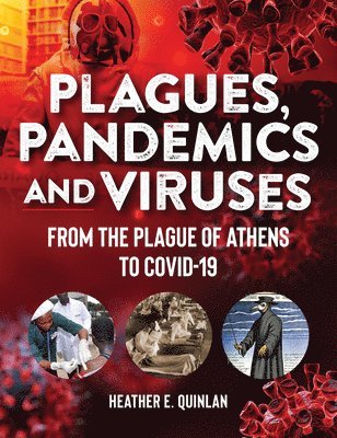 Plagues, Pandemics And Viruses 1