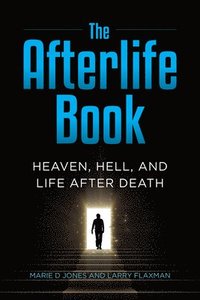 bokomslag The Afterlife Book