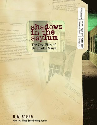 D. A. Stern - Shadows in the Asylum, Häftad