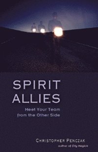 bokomslag Spirit Allies
