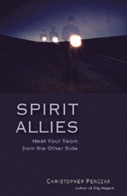 Spirit Allies 1