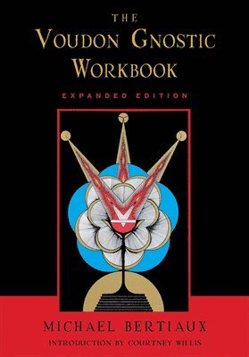 bokomslag Voudon Gnostic Workbook