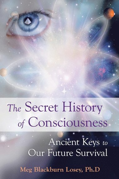 bokomslag Secret History of Consciousness