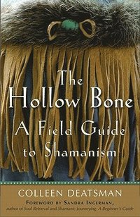 bokomslag Hollow Bone
