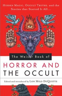 bokomslag Weiser Book of Horror and the Occult