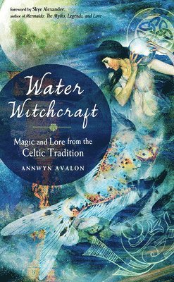 bokomslag Water Witchcraft