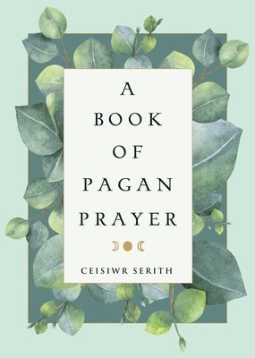 bokomslag Book of Pagan Prayer