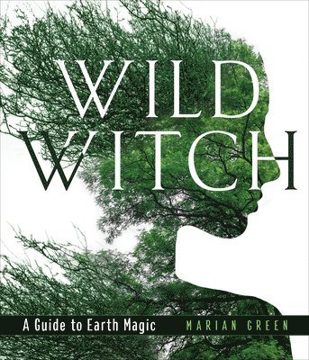 bokomslag Wild Witch