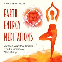bokomslag Earth Energy Meditations
