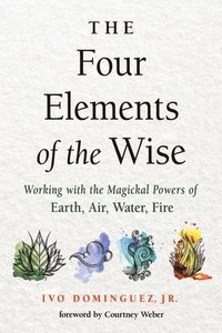 bokomslag The Four Elements of the Wise
