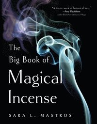 bokomslag The Big Book of Magical Incense
