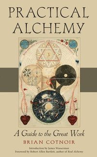 bokomslag Practical Alchemy