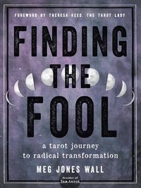 bokomslag Finding the Fool