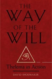 bokomslag The Way of Will