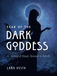 bokomslag Year of the Dark Goddess