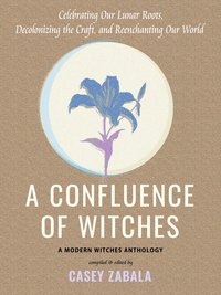 bokomslag Confluence of Witches