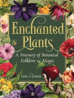 bokomslag Enchanted Plants: A Treasury of Botanical Folklore and Magic