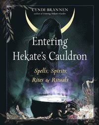 bokomslag Entering Hekate's Cauldron: Spells, Spirits, Rites, and Rituals