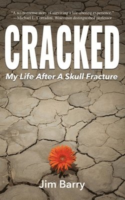 Cracked 1