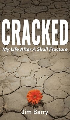 Cracked 1