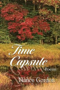 bokomslag Time Capsule