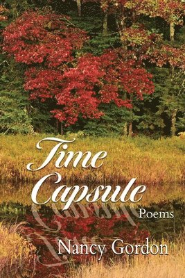 bokomslag Time Capsule