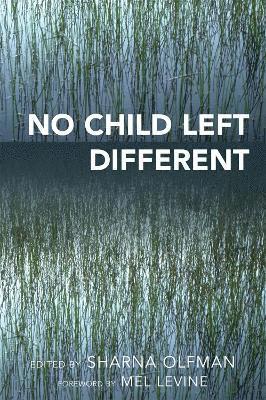 bokomslag No Child Left Different