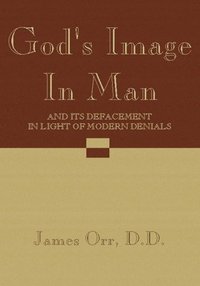bokomslag God's Image in Man
