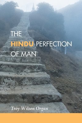 bokomslag Hindu Quest for the Perfection of Man