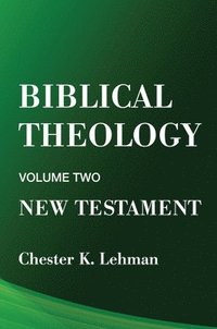 bokomslag Biblical Theology