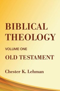 bokomslag Biblical Theology