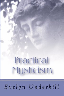 bokomslag Practical Mysticism