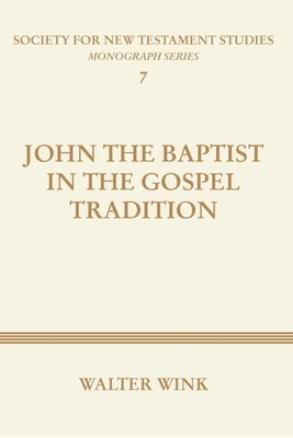 Walter Wink - John The Baptist in the Gospel Tradition, Häftad