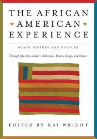 bokomslag African American Experience