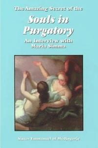 bokomslag The Amazing Secret of the Souls in Purgatory