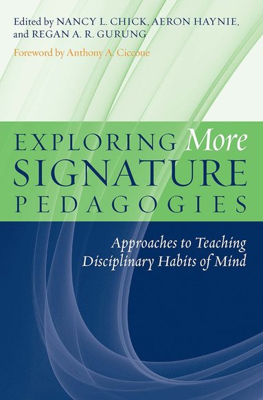 bokomslag Exploring More Signature Pedagogies