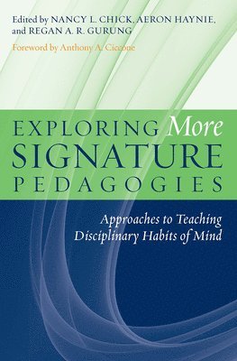 Exploring More Signature Pedagogies 1