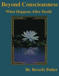 bokomslag Beyond Consciousness: What Happens After Death