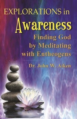 John W. Aiken, M.D., John W. Aiken M. D., John W Aiken M D, Beverly A Potter - Explorations in Awareness, Häftad