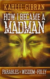 bokomslag How I Became a Madman