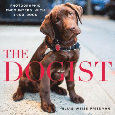 The Dogist 1